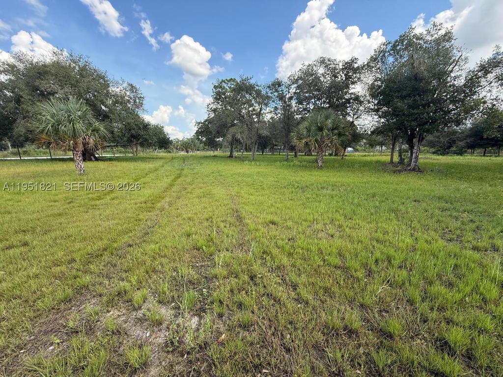 Real estate property located at 266 Avenida Del Centro, Hendry, Montura Ranch Estate 1st, Clewiston, FL