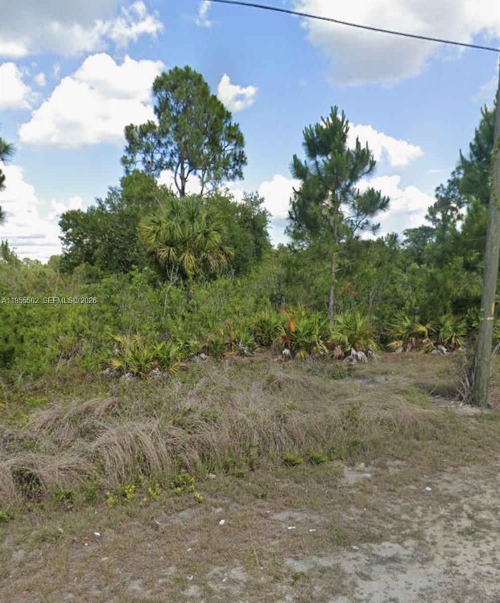 Real estate property located at 169 Thornton Ave S, Lee, Lehigh Acres, Lehigh Acres, FL