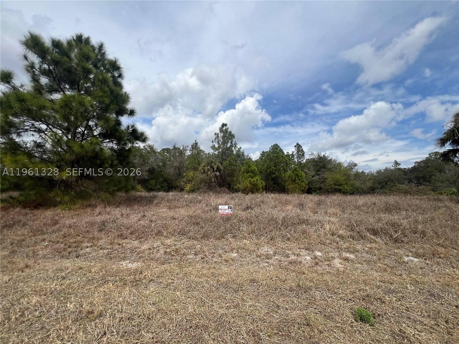 Real estate property located at 2805 16 St, Lee, Le High Acres 2, Lehigh Acres, FL