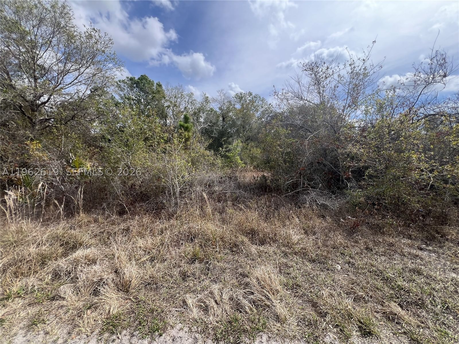 Real estate property located at 1913 Roderick Ln, Lee, Greenbriar, Lehigh Acres, FL