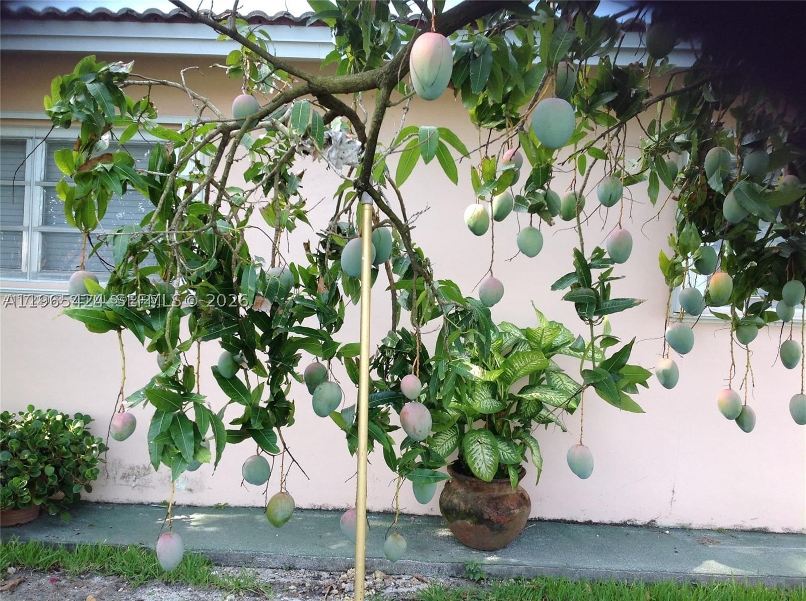 Real estate property located at 3740 5th Ct, Miami-dade, Florida Fruit Land Compan, Hialeah, FL