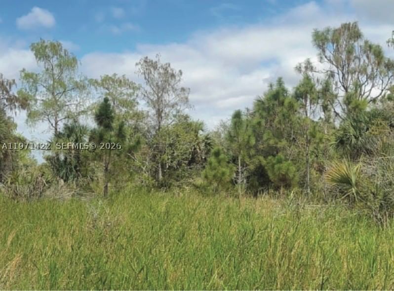 Real estate property located at 3843 29th Ave, Collier, Other Geographic Area (out Of Area Only), Naples, FL