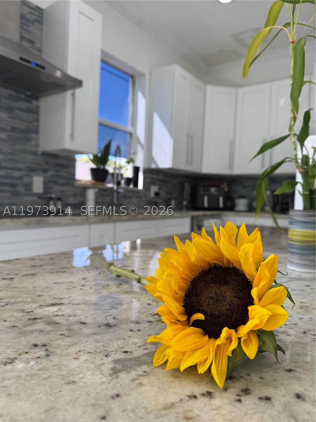 Real estate property located at 2150 100th Ave, Broward, Lakes At Pembroke, Pembroke Pines, FL