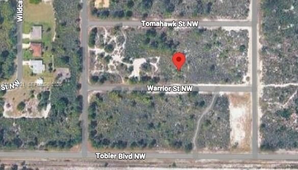 Real estate property located at 217 Warrior St, Highlands, Placid Lakes Sec 19, Lake Placid, FL