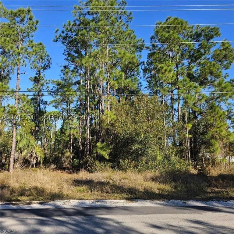 Real estate property located at 3903 10th ST, Lee, Lehigh Acres, Lehigh Acres, FL