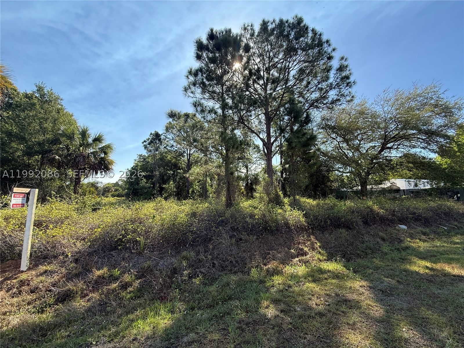 Real estate property located at 425 DATIL ST, Hendry, Montura Ranch Estates, Clewiston, FL