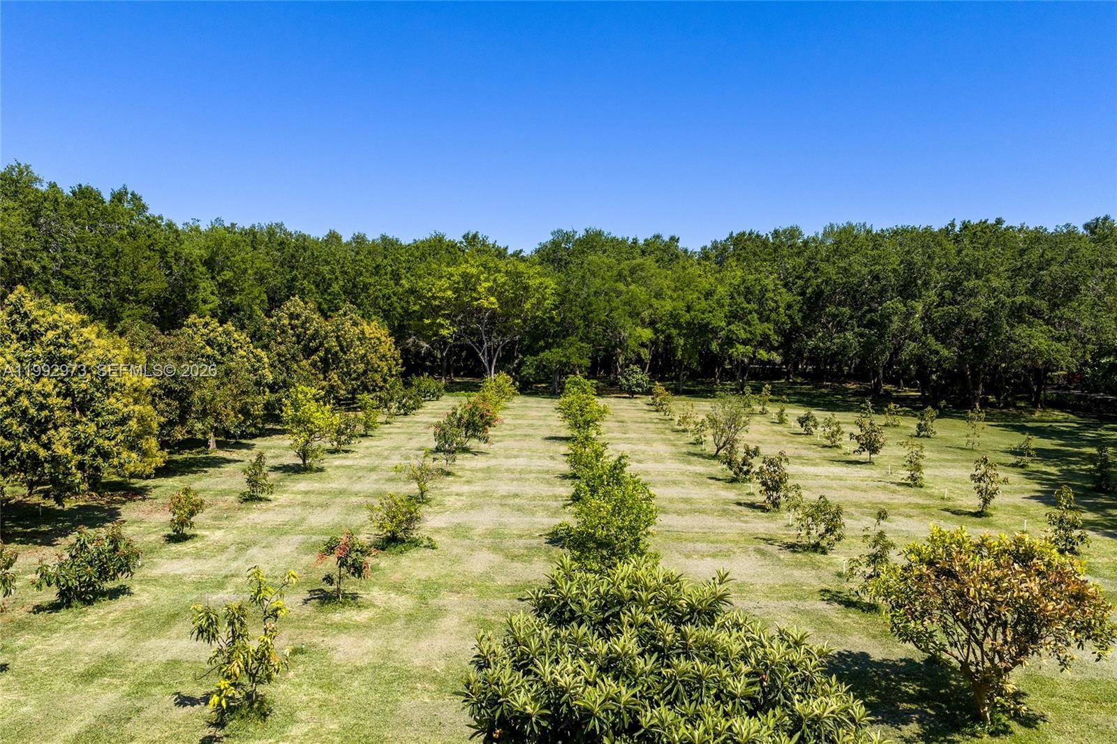 Real estate property located at 15000 200th St, Miami-dade, Breezy Oaks, Miami, FL