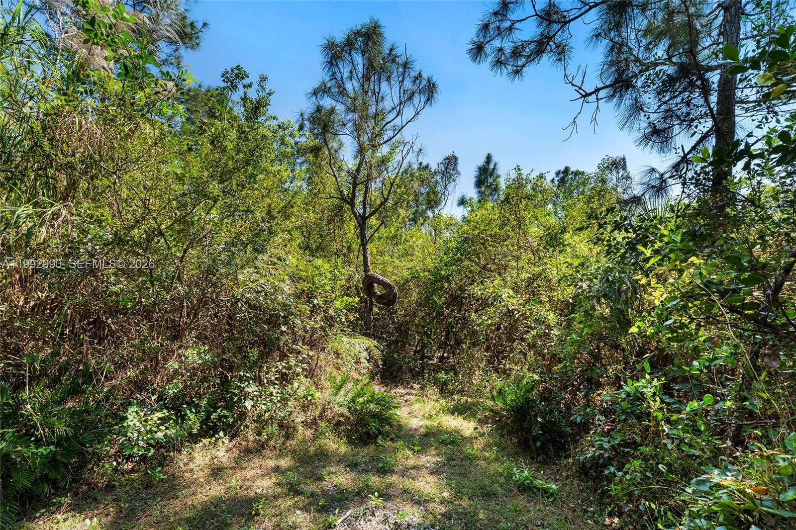 Real estate property located at 15000 200th St, Miami-dade, Breezy Oaks, Miami, FL