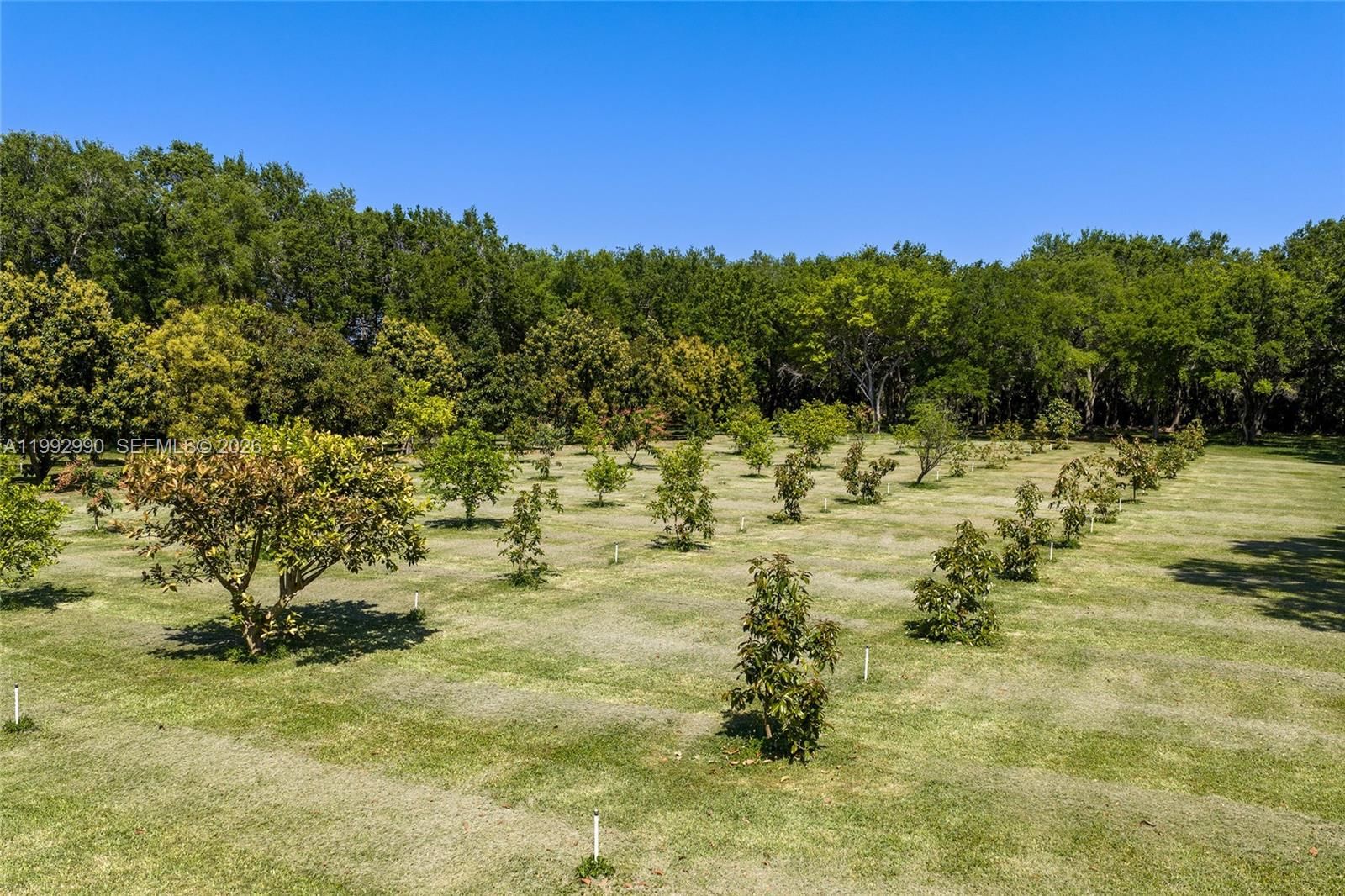 Real estate property located at 15000 200th St, Miami-dade, Breezy Oaks, Miami, FL