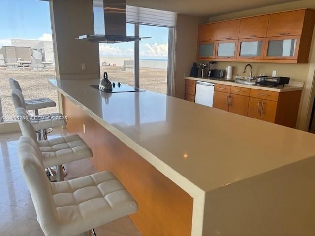 Real estate property located at 100 Lincoln Rd PH4, Miami-dade, The Decoplage Condo, Miami Beach, FL