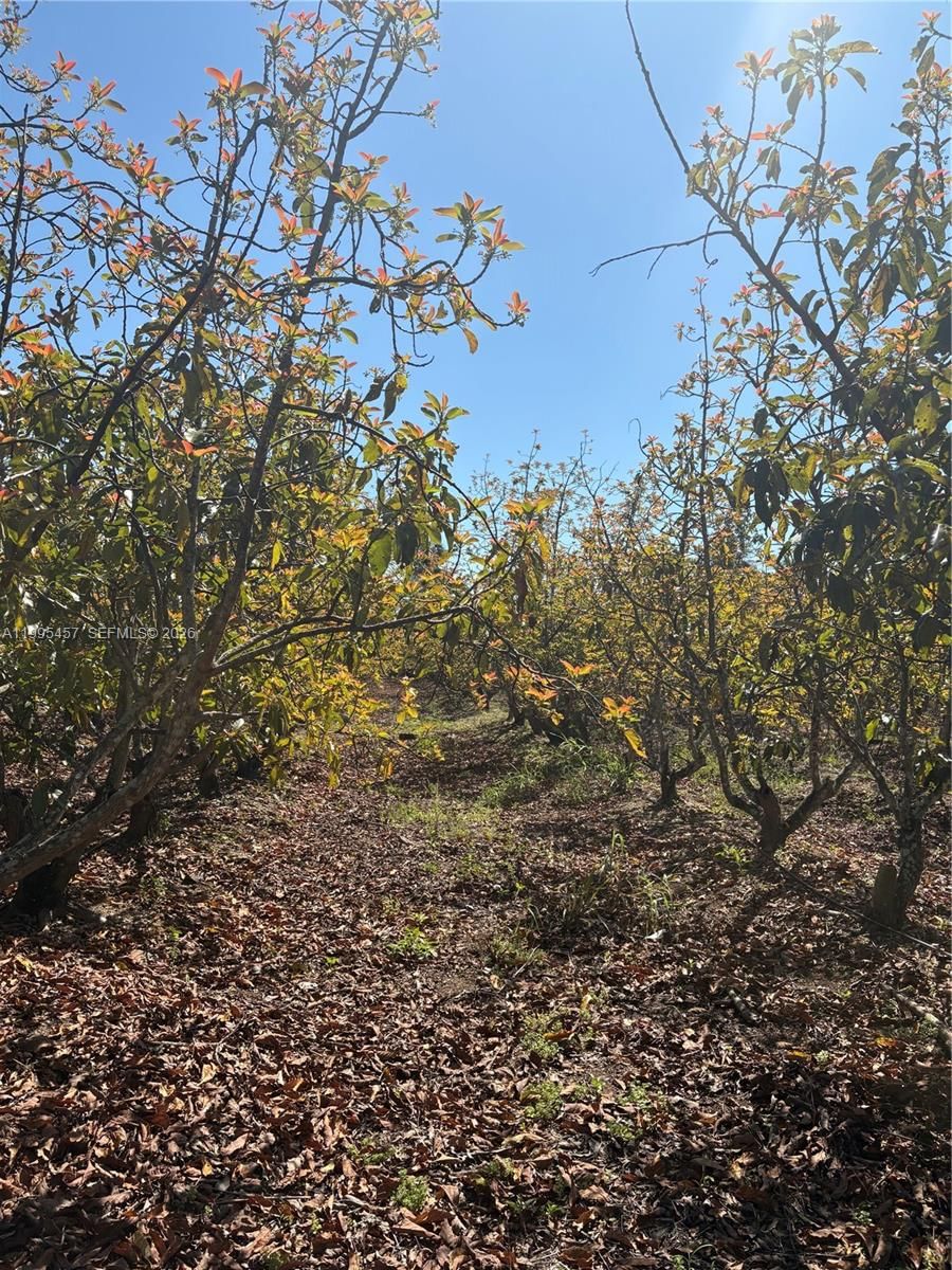 Real estate property located at 184XX 207, Miami-dade, Miami, FL