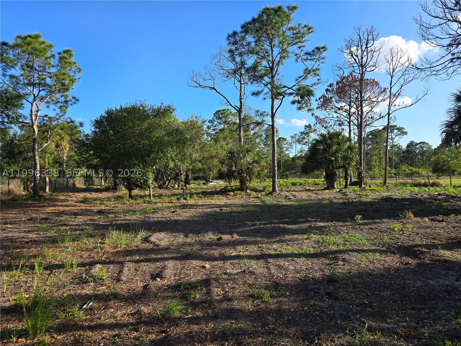 Real estate property located at 466 Hunting Club Ave, Hendry, Montura South Half (10080, Clewiston, FL