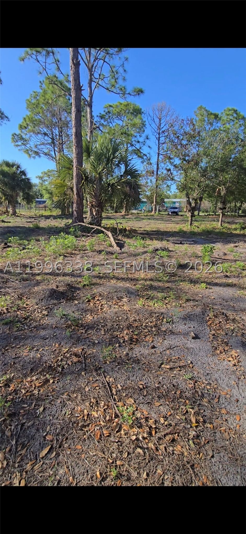 Real estate property located at 466 Hunting Club Ave, Hendry, Montura South Half (10080, Clewiston, FL