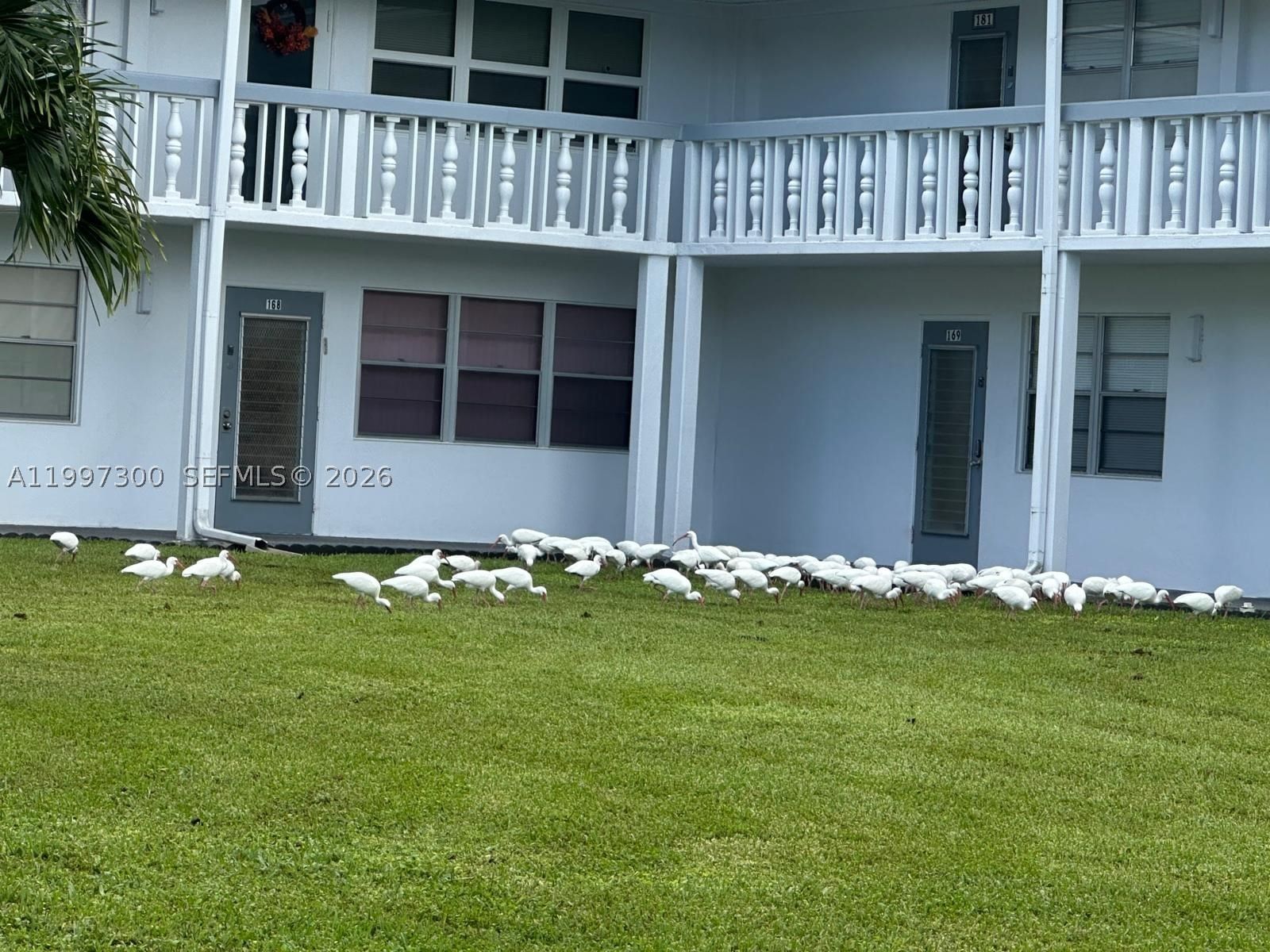 Real estate property located at 162 Westbury J #162, Broward, Westbury J Condo, Deerfield Beach, FL