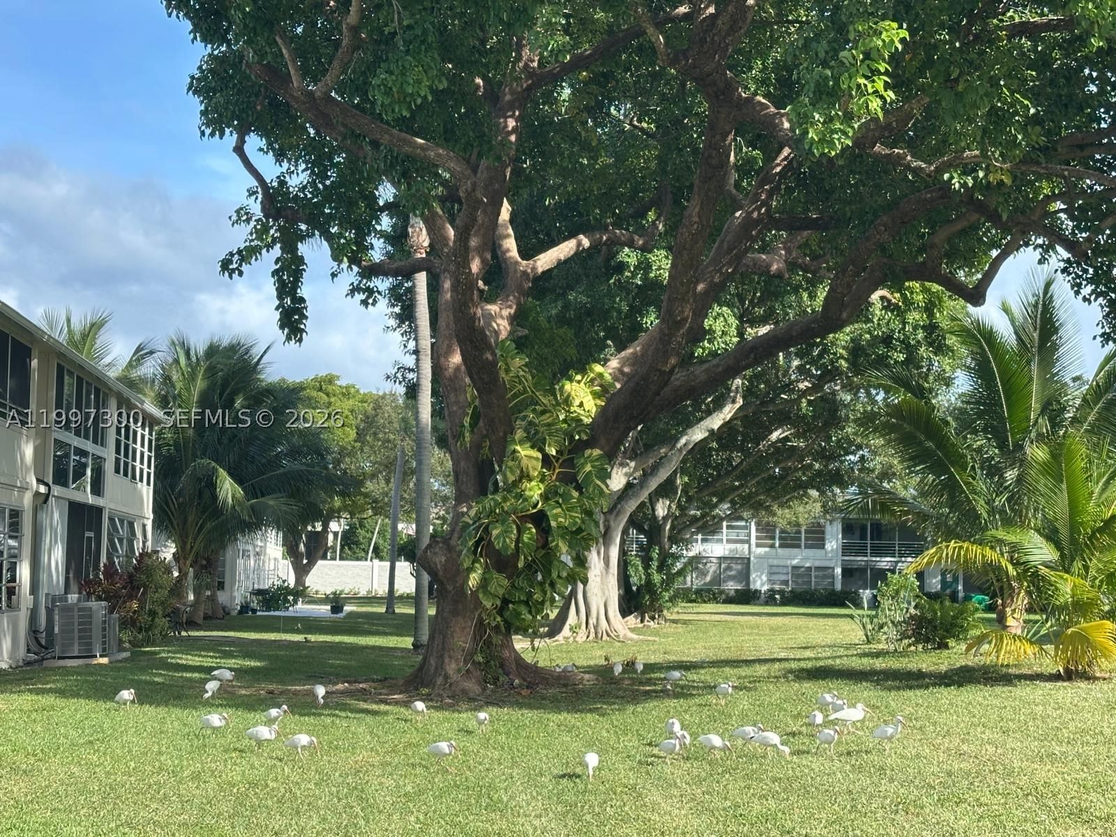 Real estate property located at 162 Westbury J #162, Broward, Westbury J Condo, Deerfield Beach, FL
