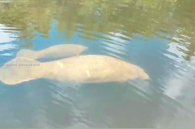 Real estate property located at 3043 Hayes Street, Broward, Lakeview Heights No 2, Hollywood, FL