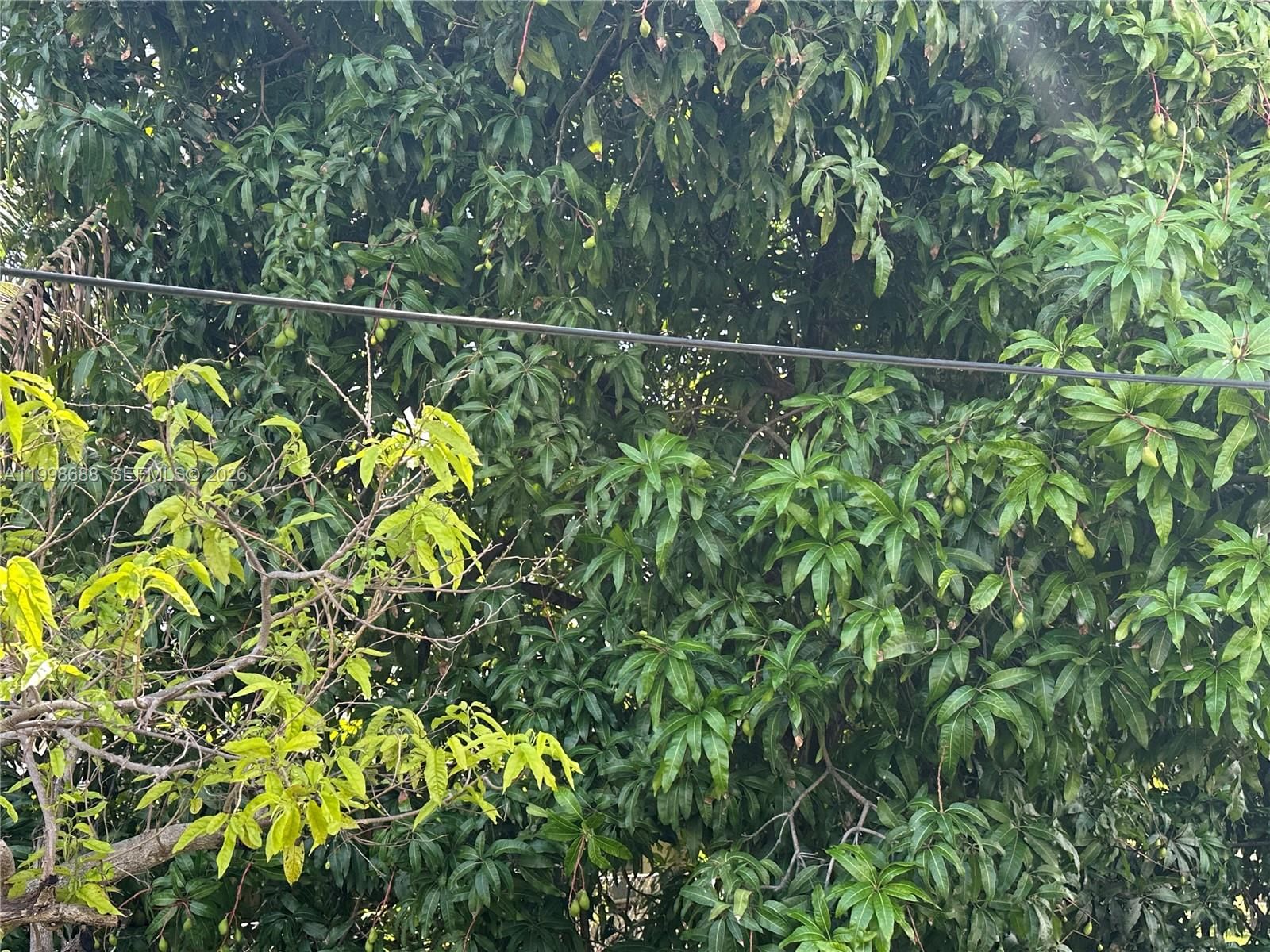 Real estate property located at 900 75th St, Miami-dade, Stephen Manor, Miami, FL