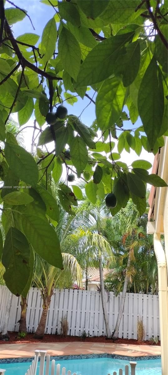 Real estate property located at 659 Verona Pl, Broward, Verona, Weston, FL