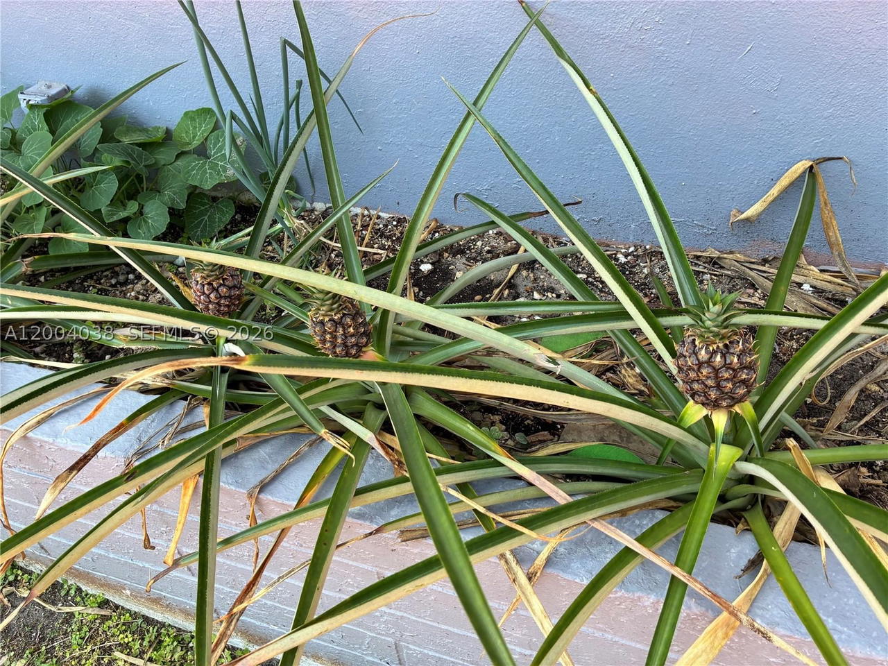 Real estate property located at 1440 174th St, Miami-dade, Fulford By Sea Sec O, North Miami Beach, FL