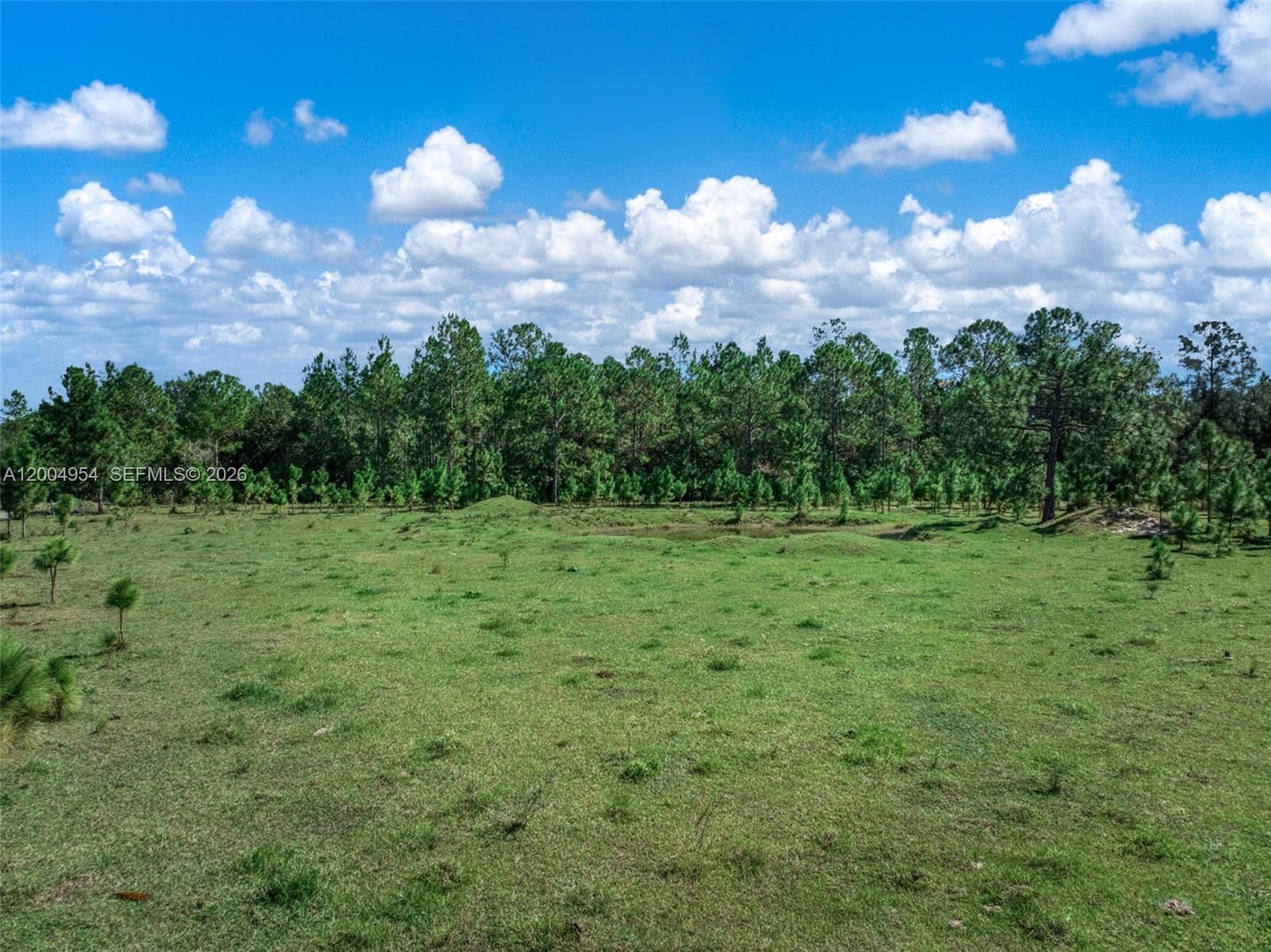 Real estate property located at 2316 Gem Stone, Highlands, None, Sebring, FL