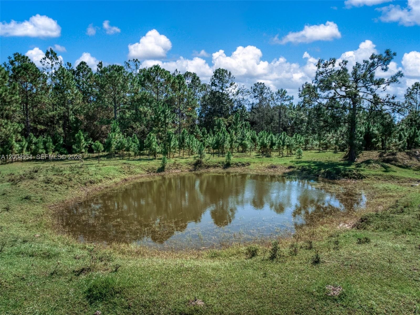 Real estate property located at 2316 Gem Stone, Highlands, None, Sebring, FL