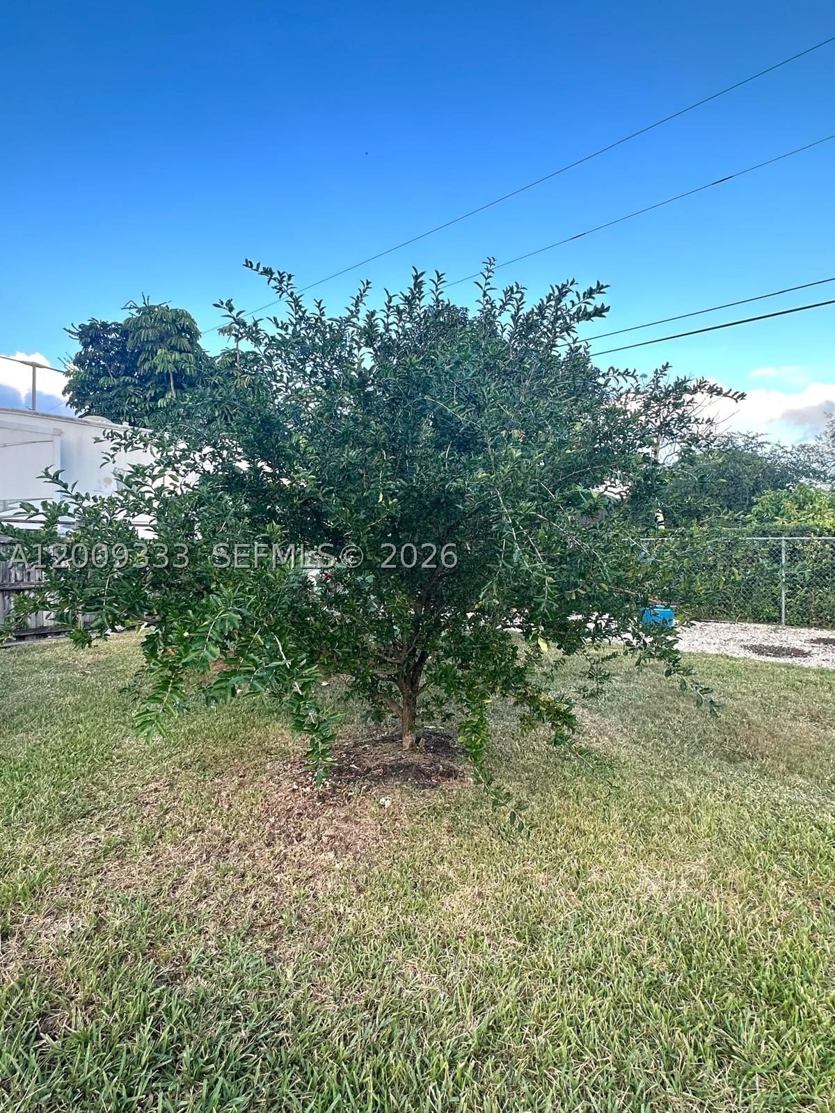 Real estate property located at 32151 196th Ave, Miami-dade, Roland Heights, Homestead, FL