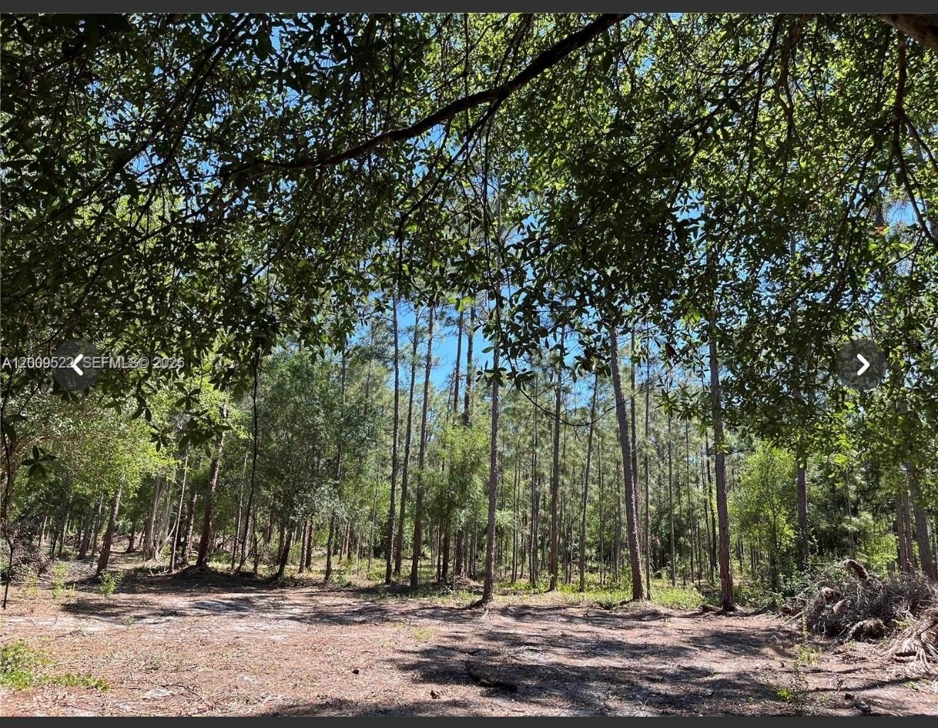 Real estate property located at 5120 18TH PIONEER, Hendry, Pioneer, Clewiston, FL