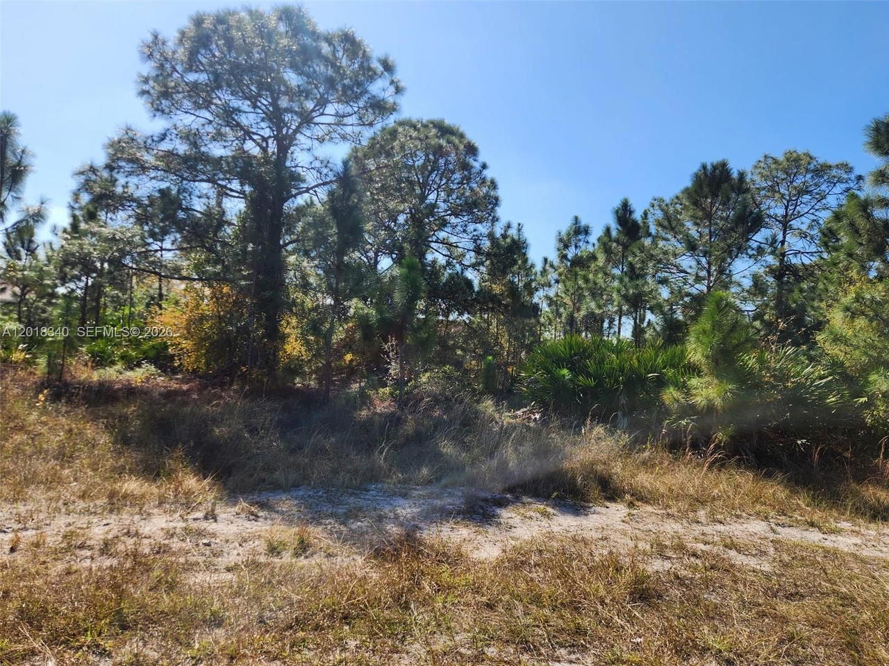 Real estate property located at 706 JOHNS AVE, Lee, Lee County Unincorporated, Lehigh Acres, FL