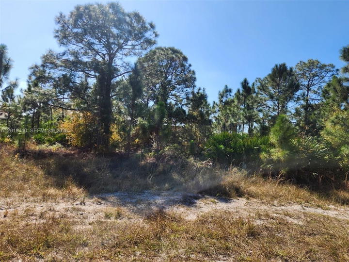 Real estate property located at 706 JOHNS AVE, Lee, Lee County Unincorporated, Lehigh Acres, FL