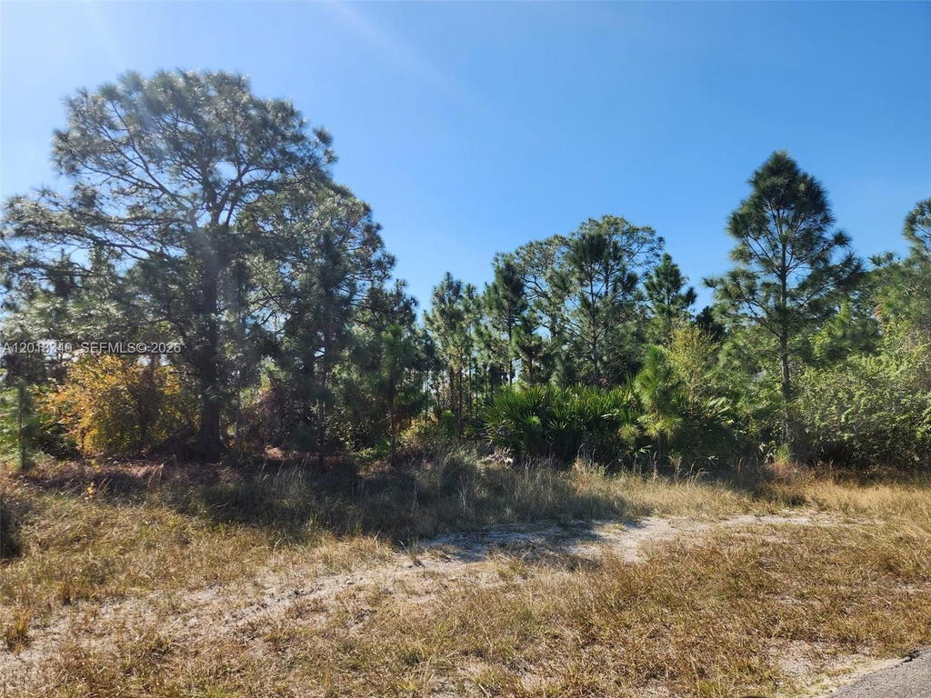 Real estate property located at 706 JOHNS AVE, Lee, Lee County Unincorporated, Lehigh Acres, FL