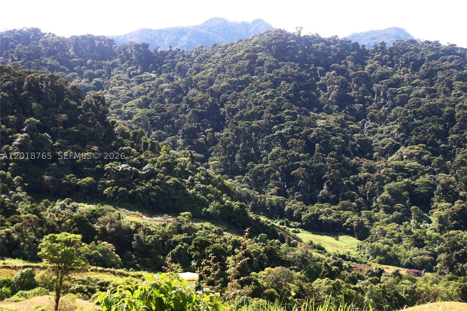 Real estate property located at CERRO PUNTA, Panama, Rep of Panama, Other, PA