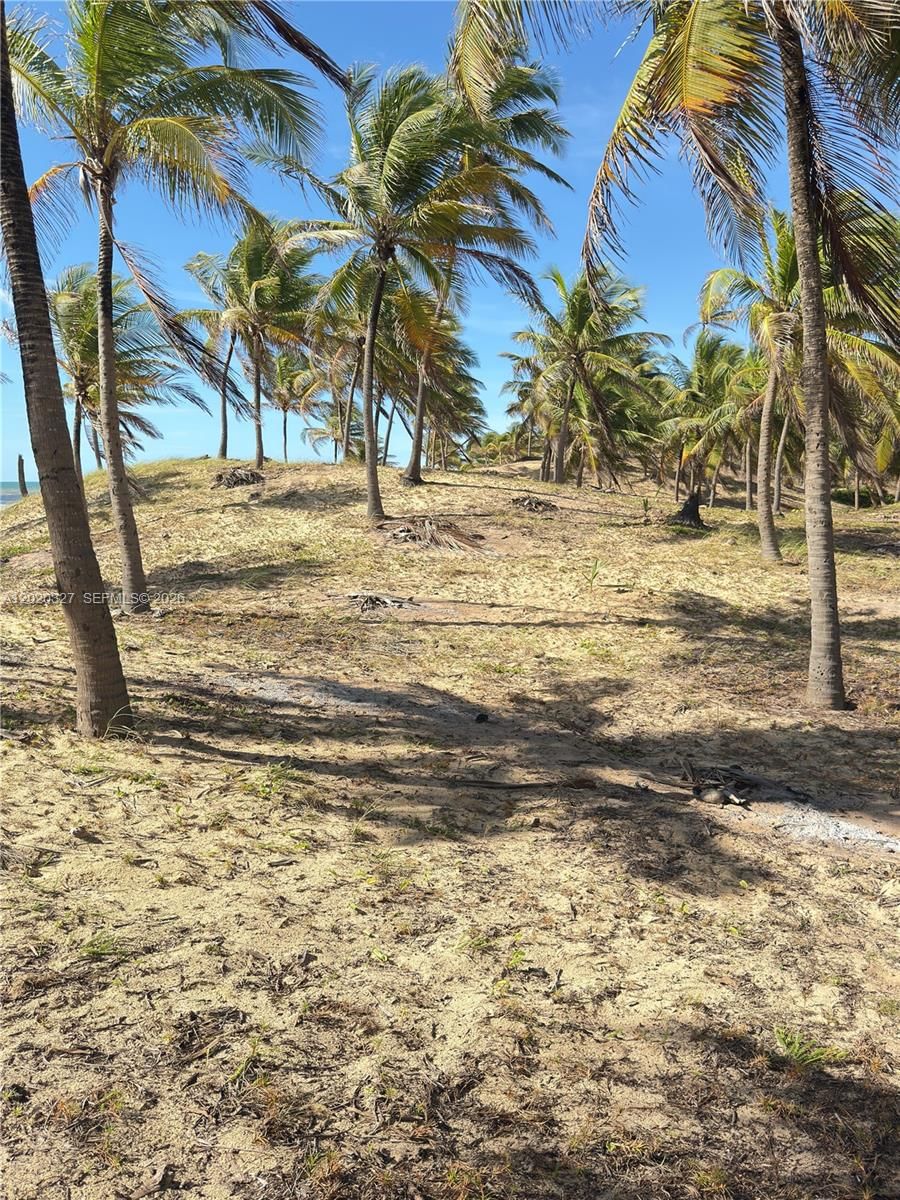 Real estate property located at 117 Praia Barra do Itariri Peninsula, Other, Beachfront - Bahia, Brazil, FL, BR