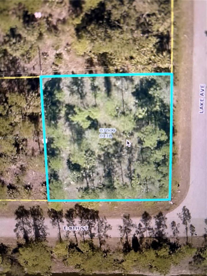 Real estate property located at 807 8th St E, Lee, L3, Lehigh Acres, FL