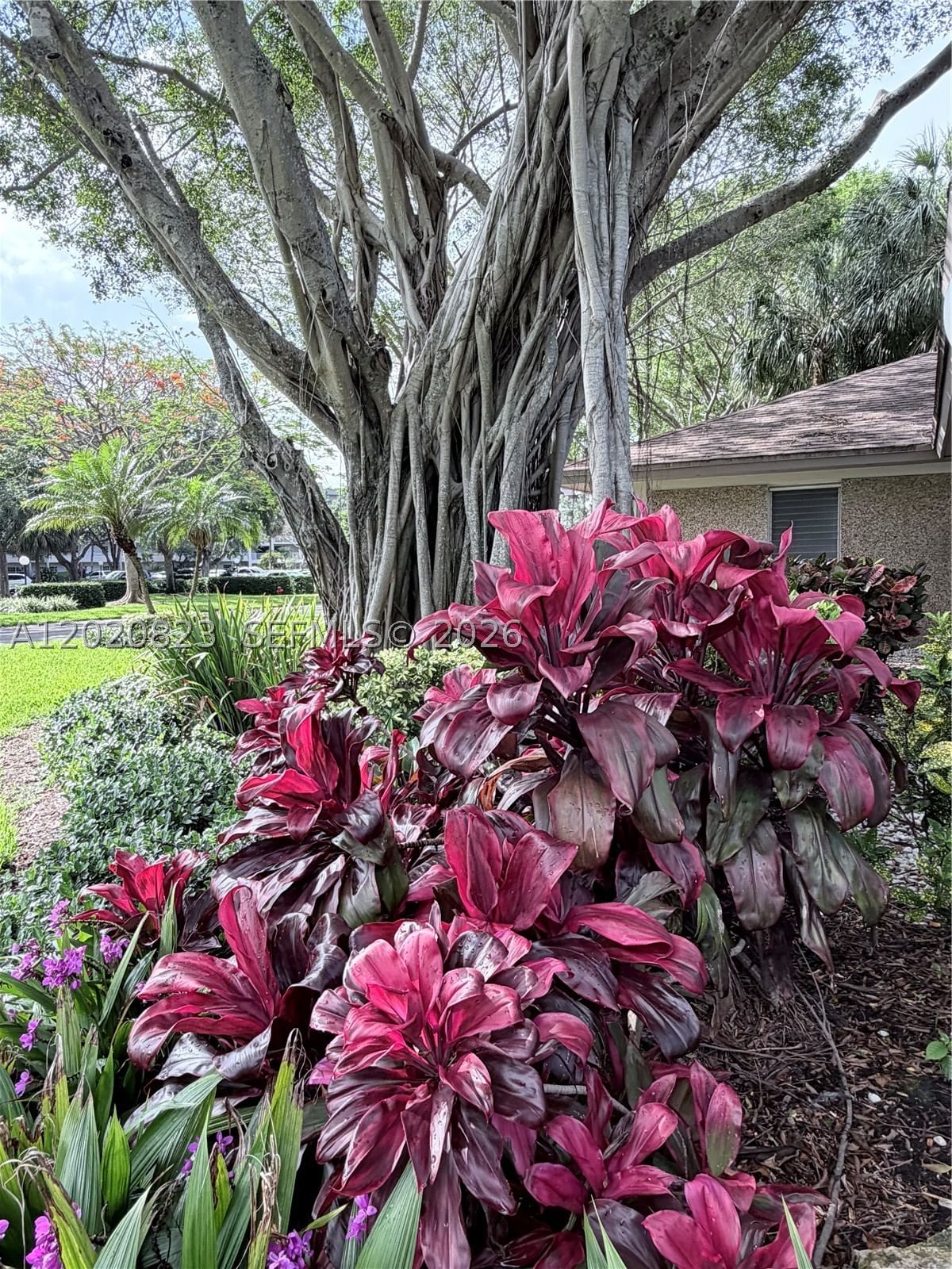 Real estate property located at 605 Oaks Dr #307, Broward, No 60 Palm-aire Country C, Pompano Beach, FL