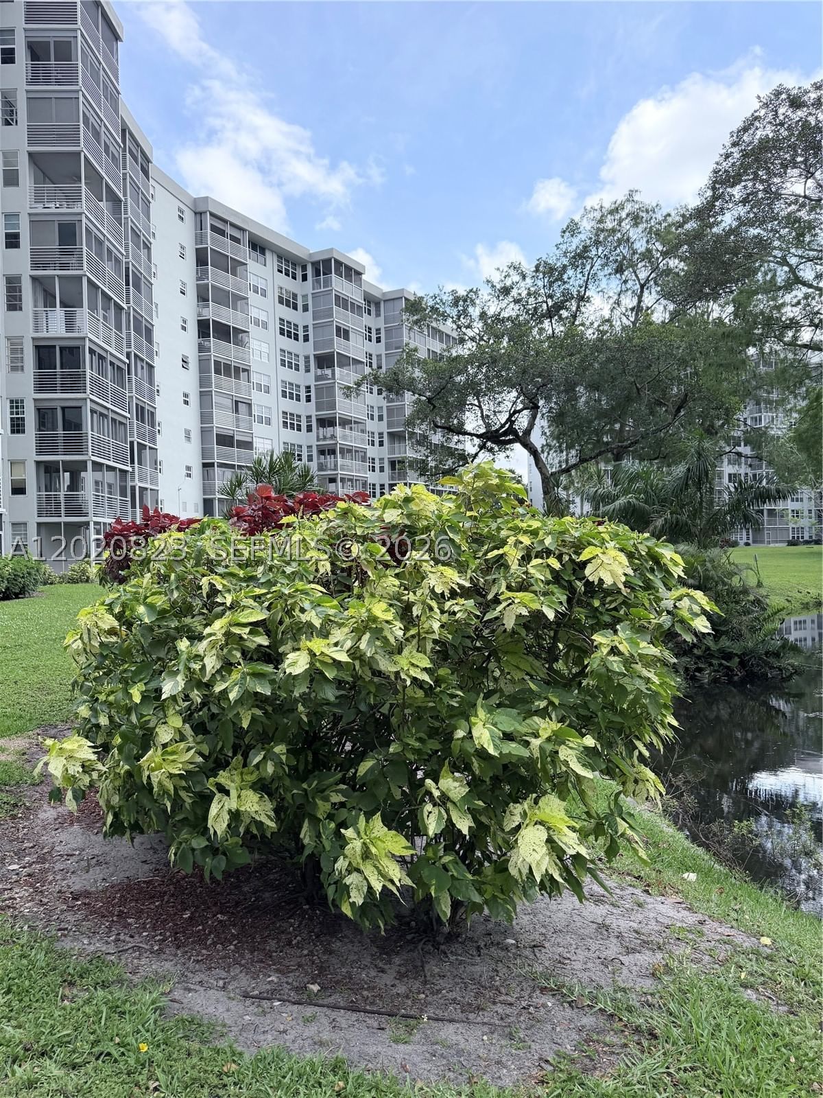 Real estate property located at 605 Oaks Dr #307, Broward, No 60 Palm-aire Country C, Pompano Beach, FL