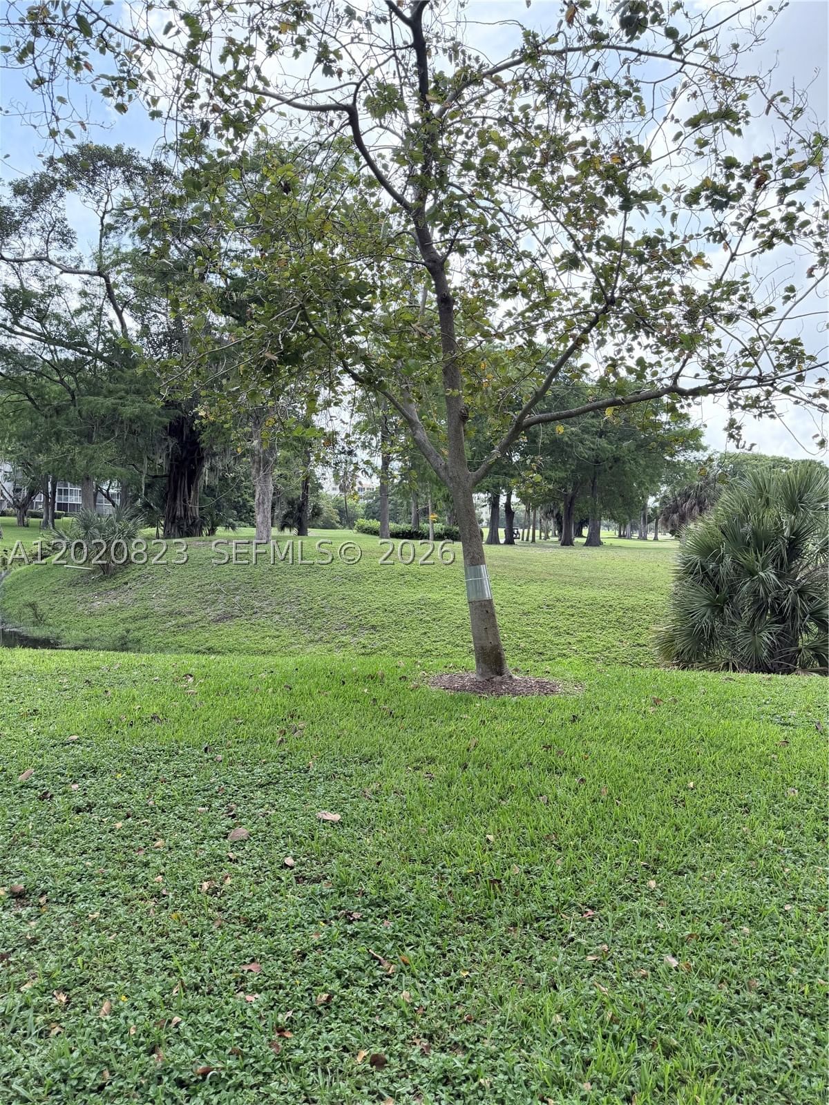 Real estate property located at 605 Oaks Dr #307, Broward, No 60 Palm-aire Country C, Pompano Beach, FL
