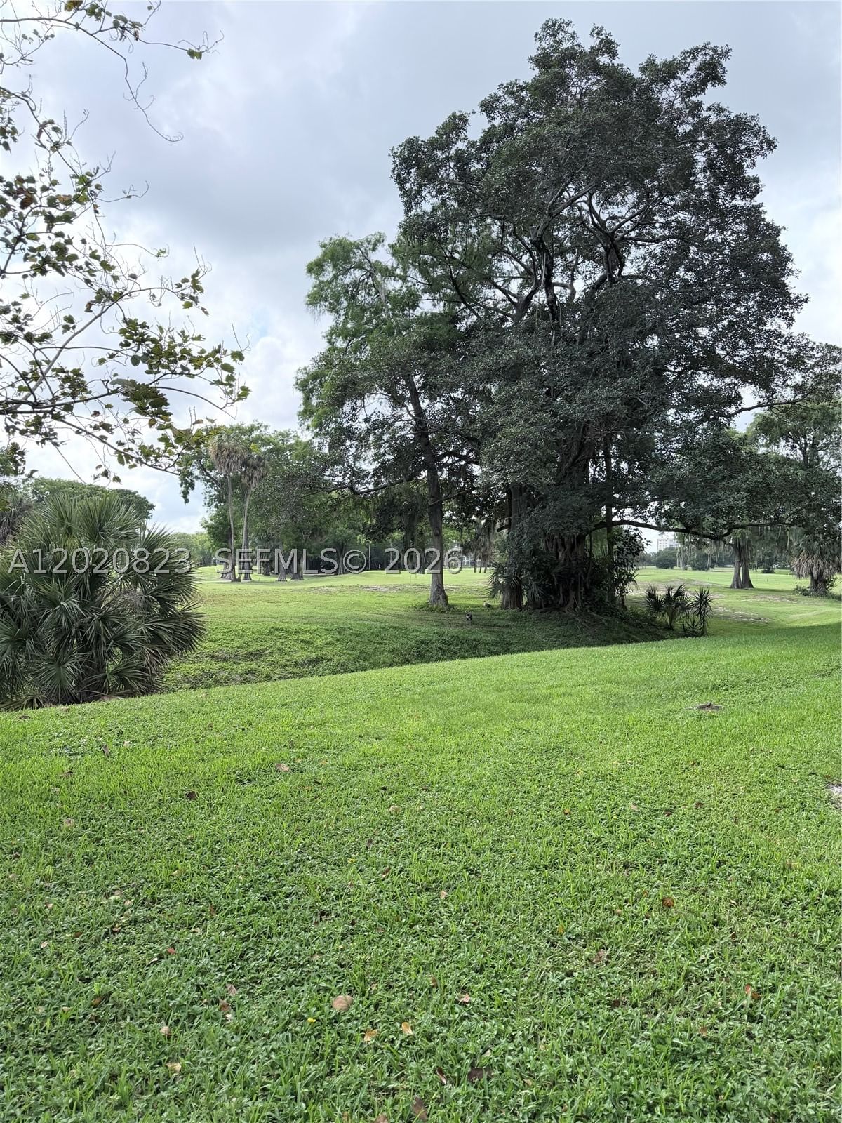 Real estate property located at 605 Oaks Dr #307, Broward, No 60 Palm-aire Country C, Pompano Beach, FL
