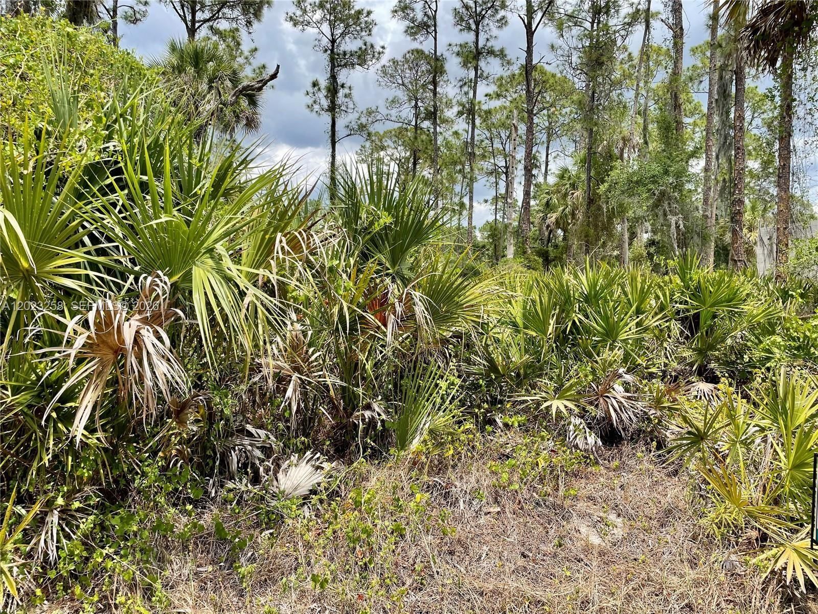 Real estate property located at , Charlotte, Port Charlotte Sec 41, Port Charlotte, FL
