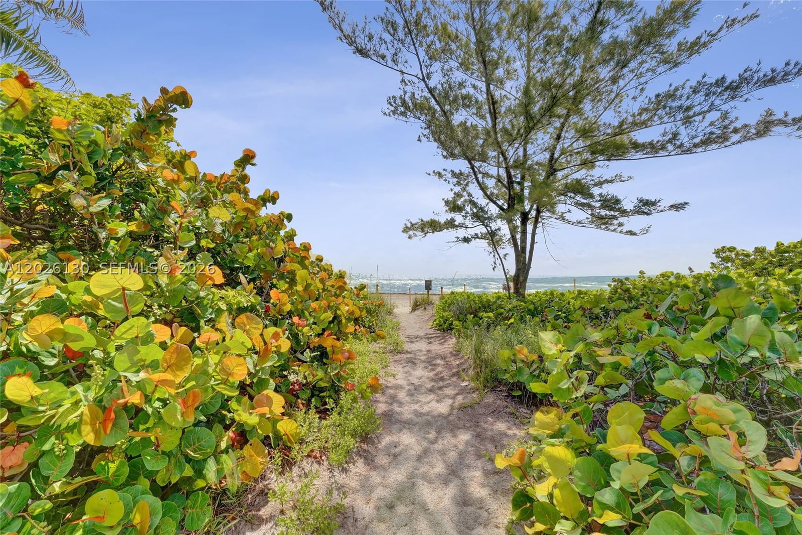 Real estate property located at 1936 Ocean Dr #4C, Broward, Taromina Apts Co-op, Hallandale Beach, FL