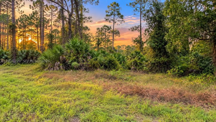 Real estate property located at 1047 Grove St E, Lee, Lehigh Acres, Lehigh Acres, FL