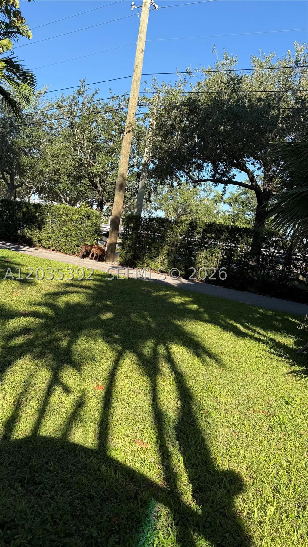 Real estate property located at 10115 Biscayne Blvd, Miami-dade, Miami Shores Sec 8 Rev, Miami Shores, FL