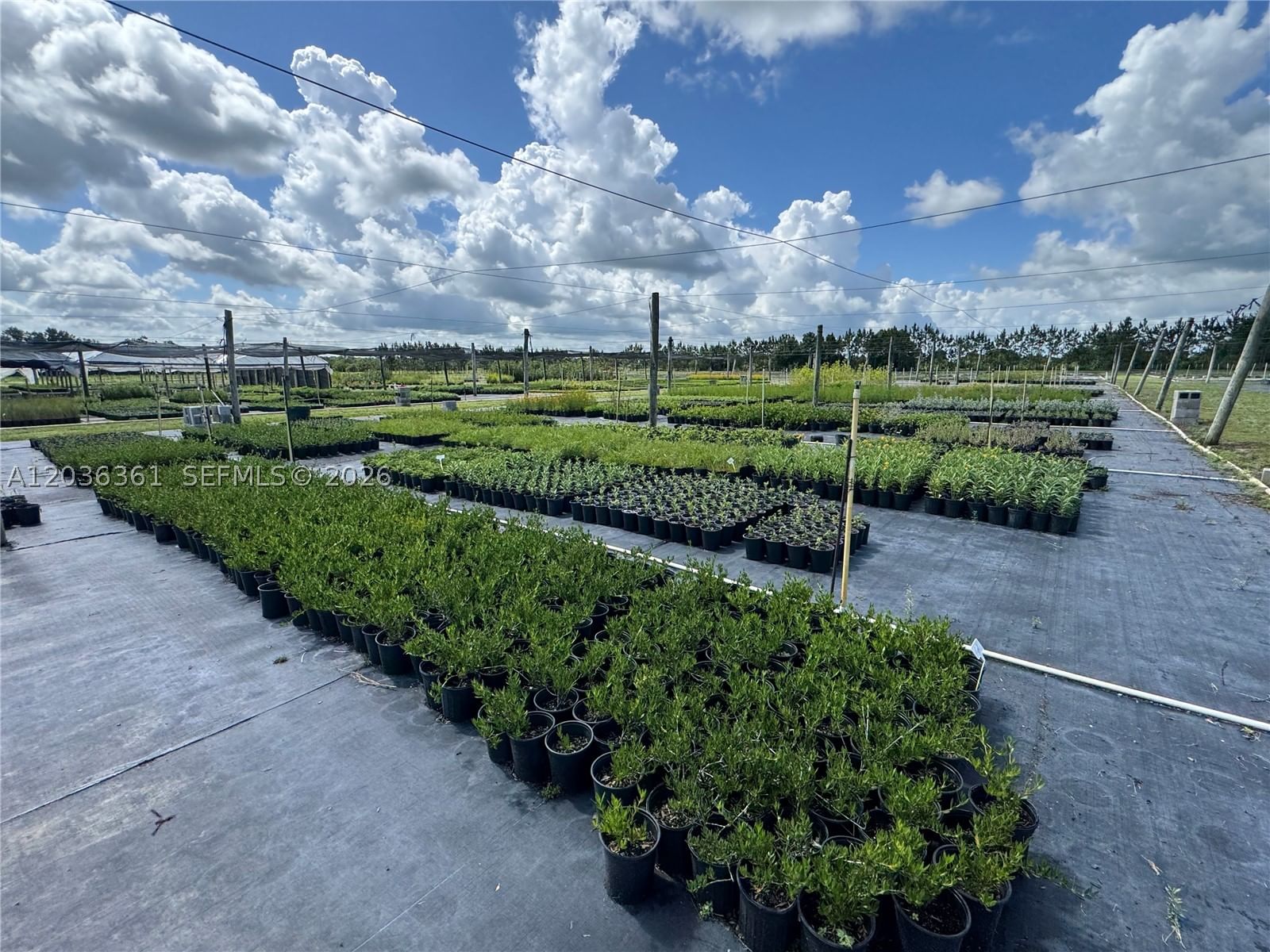 Real estate property located at 476 Barlow Rd, Hardee, Rural Agricultural Land, Other, FL