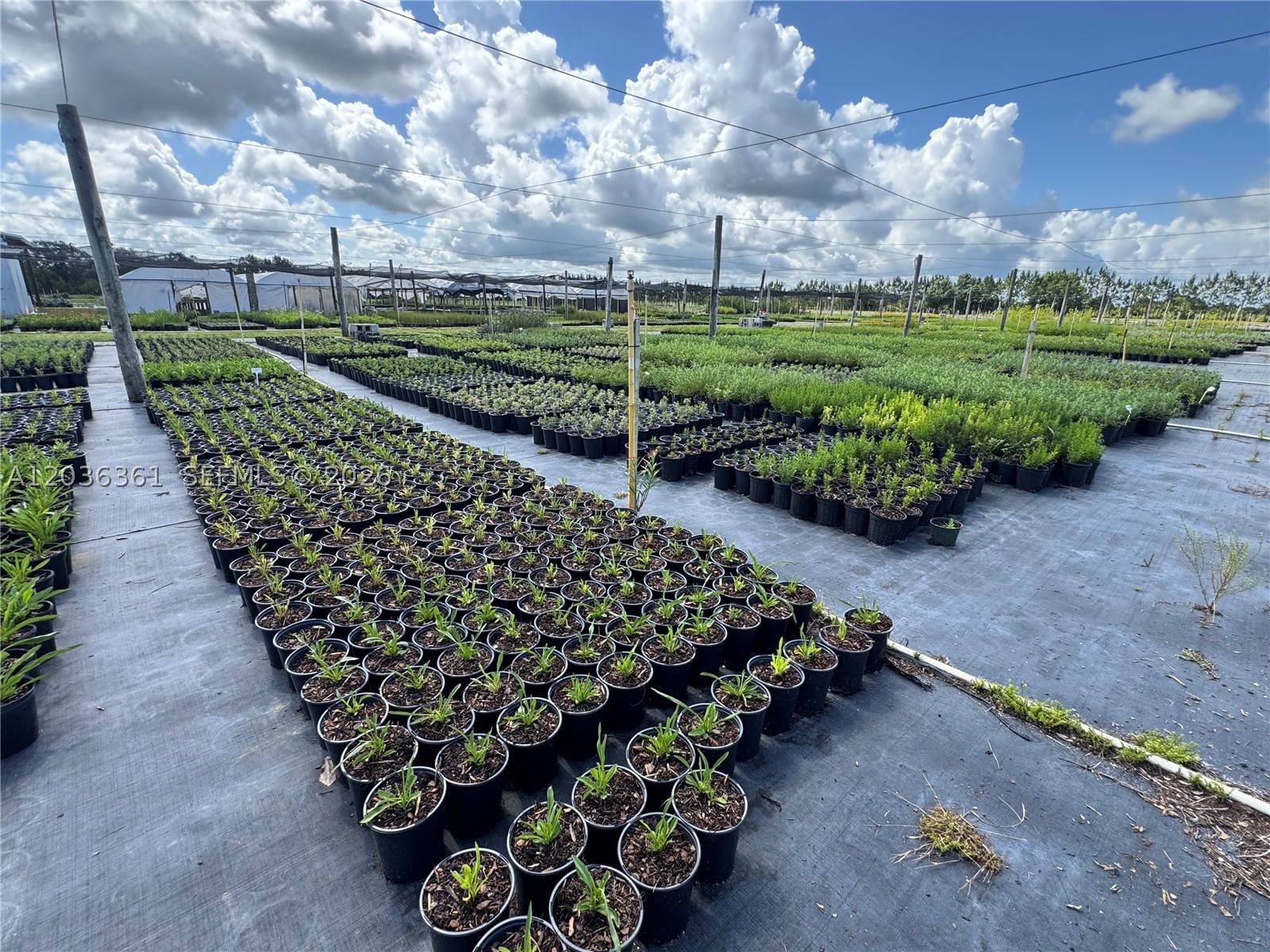 Real estate property located at 476 Barlow Rd, Hardee, Rural Agricultural Land, Other, FL