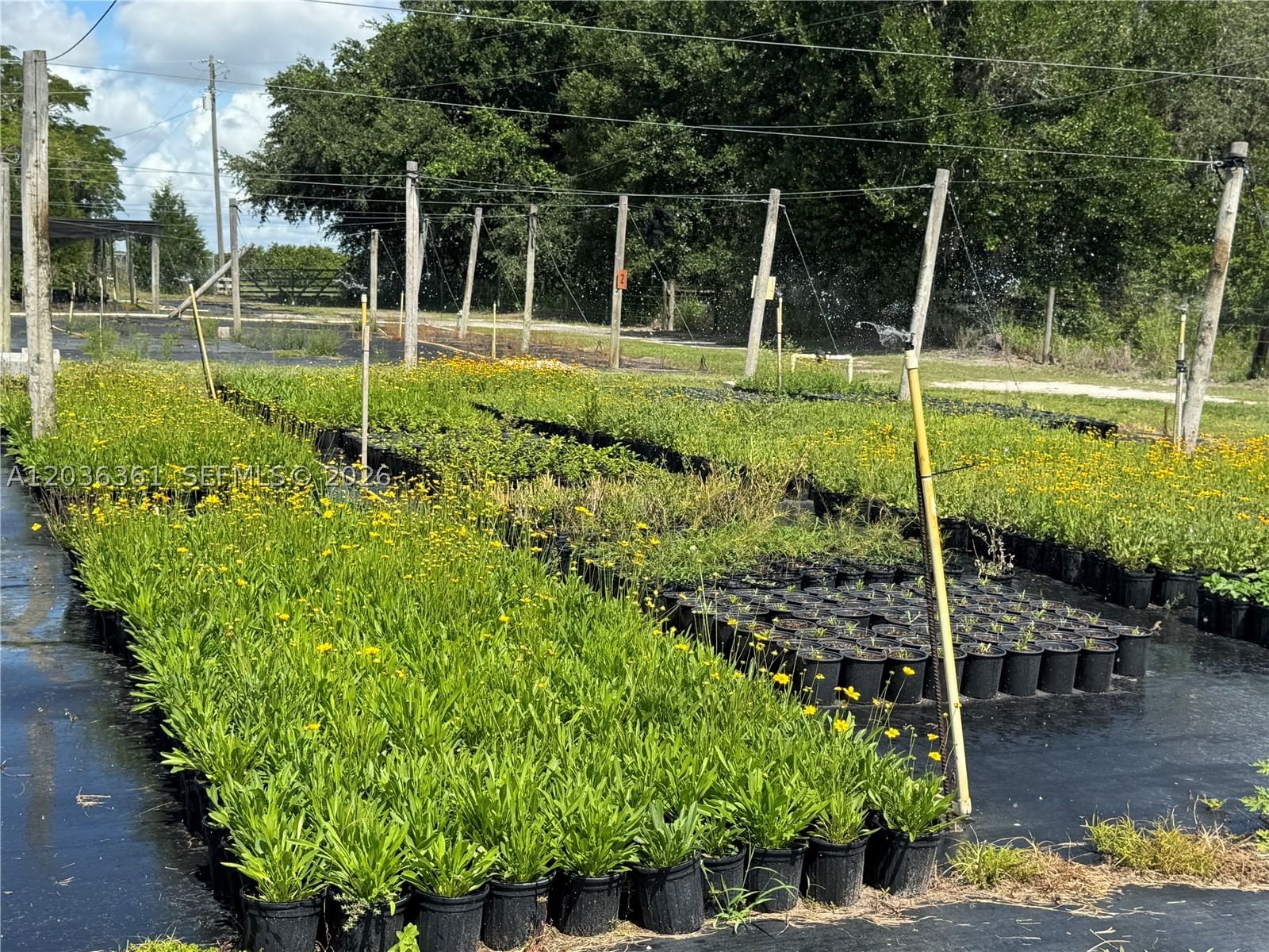 Real estate property located at 476 Barlow Rd, Hardee, Rural Agricultural Land, Other, FL