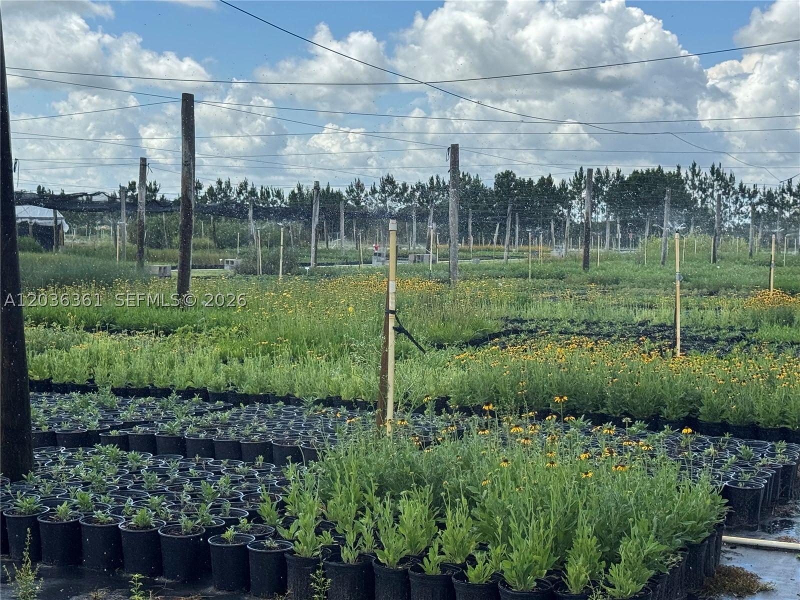 Real estate property located at 476 Barlow Rd, Hardee, Rural Agricultural Land, Other, FL