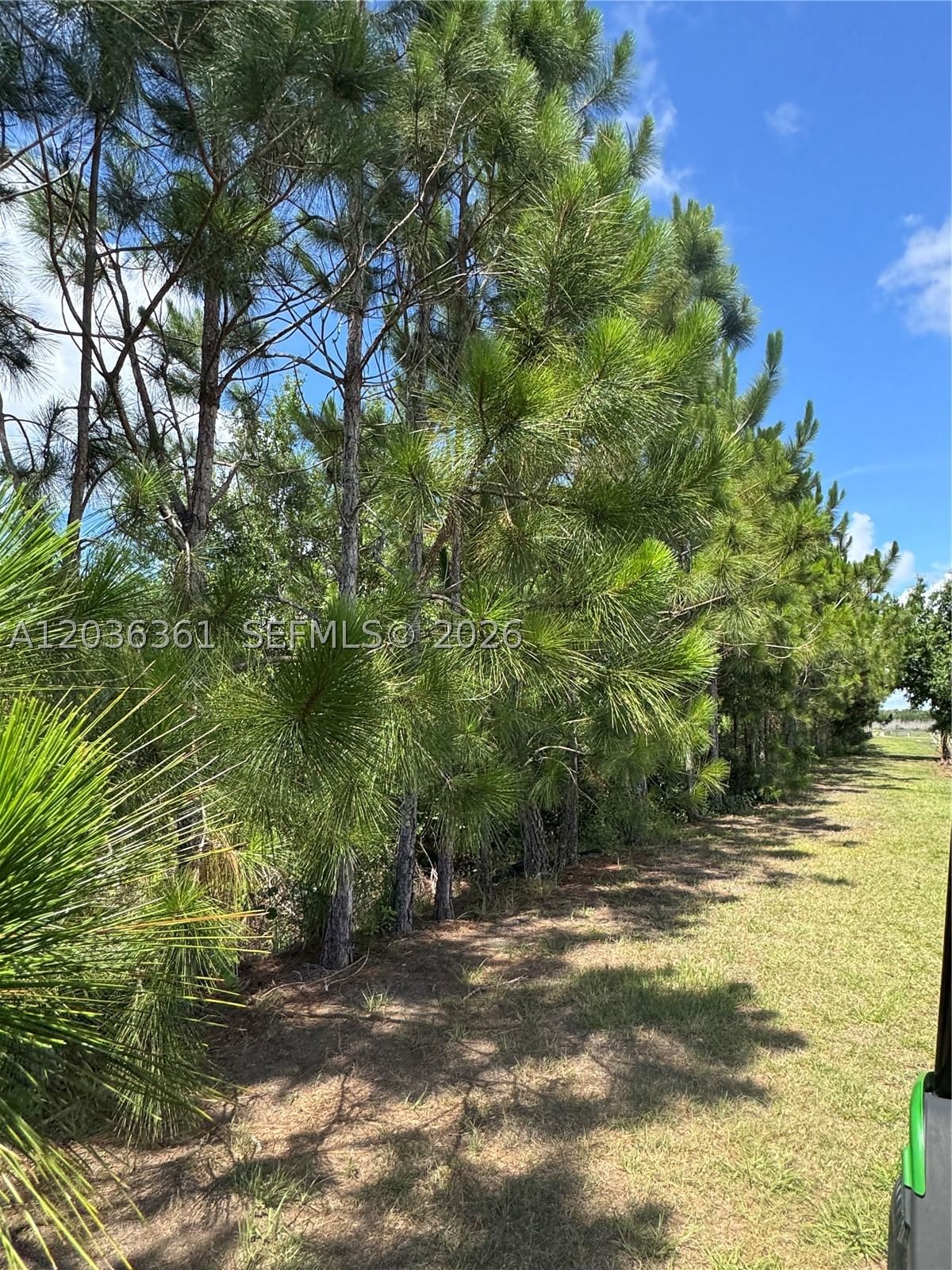 Real estate property located at 476 Barlow Rd, Hardee, Rural Agricultural Land, Other, FL