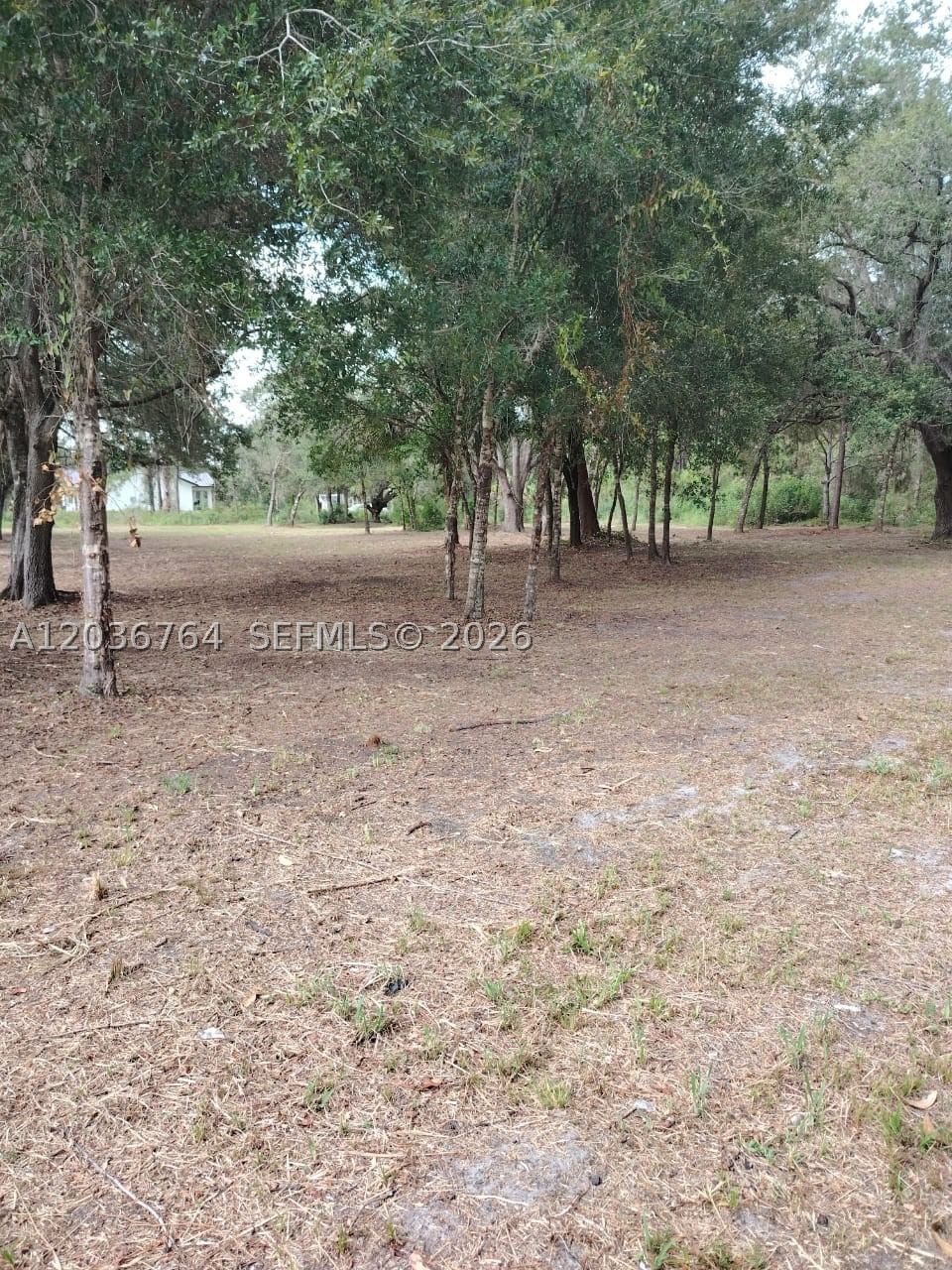Real estate property located at 200 Avenida del Centro, Hendry, Montura Ranch Estates 1 St, Clewiston, FL