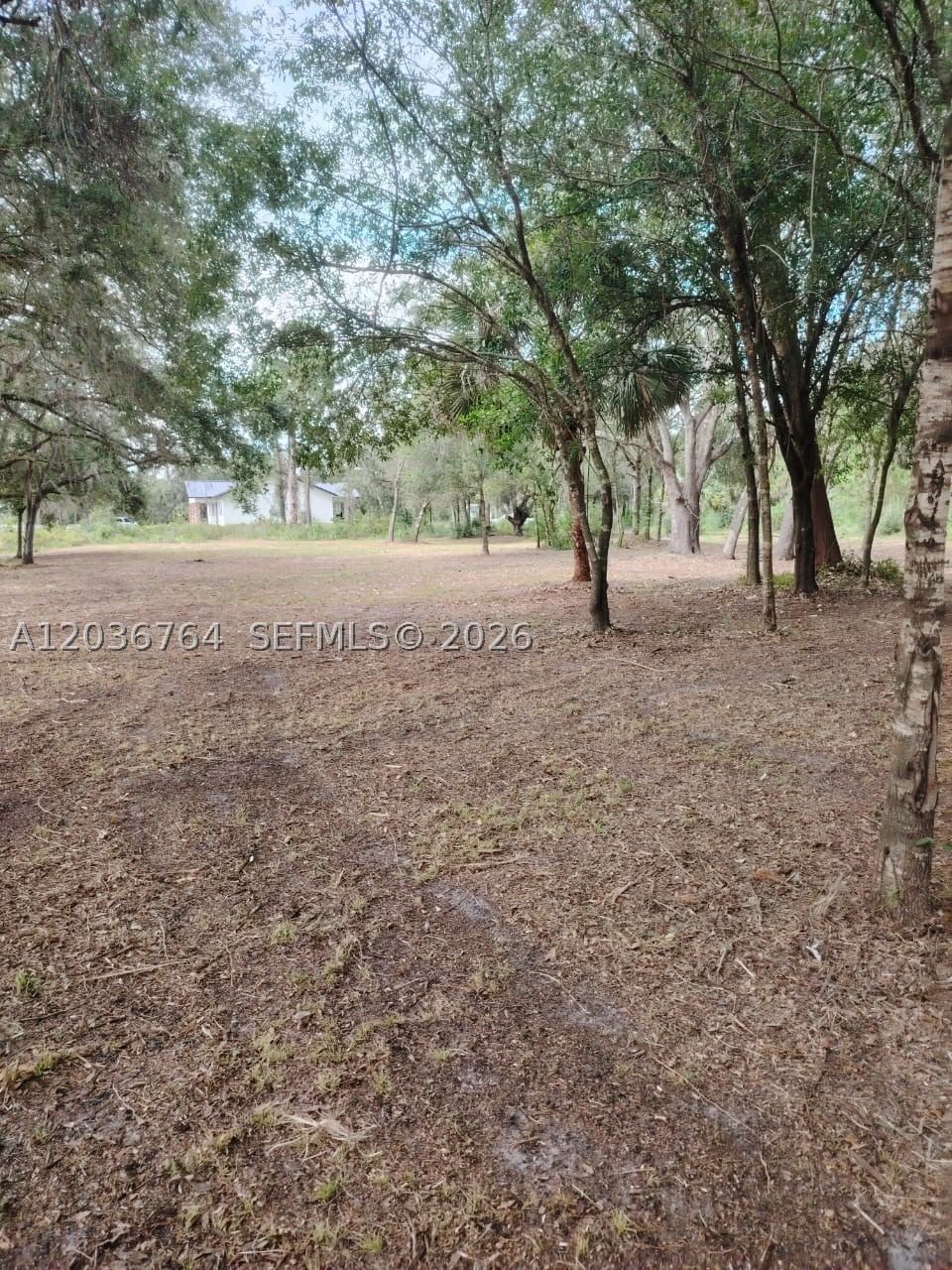 Real estate property located at 200 Avenida del Centro, Hendry, Montura Ranch Estates 1 St, Clewiston, FL