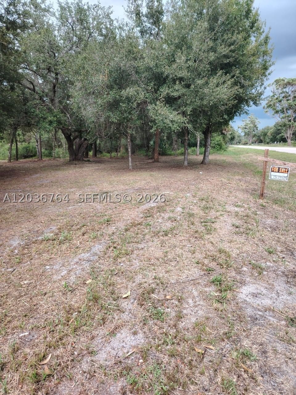Real estate property located at 200 Avenida del Centro, Hendry, Montura Ranch Estates 1 St, Clewiston, FL