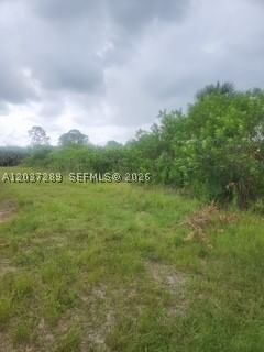 Real estate property located at 437 Naples AVE S, Lee, Lehigh Acres, Lehigh Acres, FL